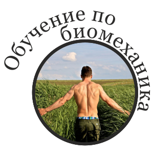 Обучение по изправителна биомеханика - SEMMA Level 2