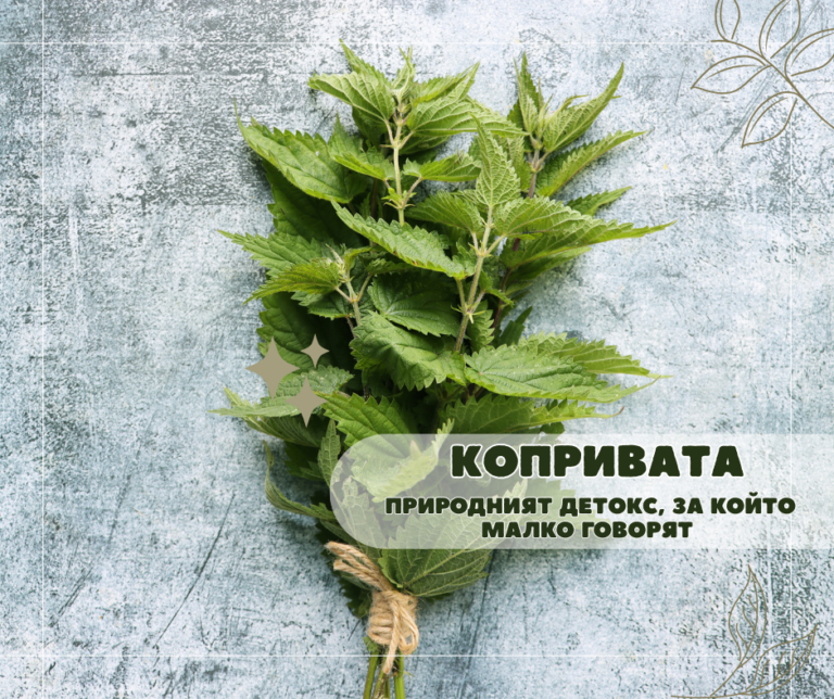 Копривата – природният детокс, за който малко говорят